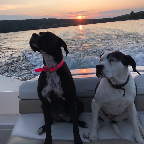 Meet your Posher, Sandra - Picture 5 of 8